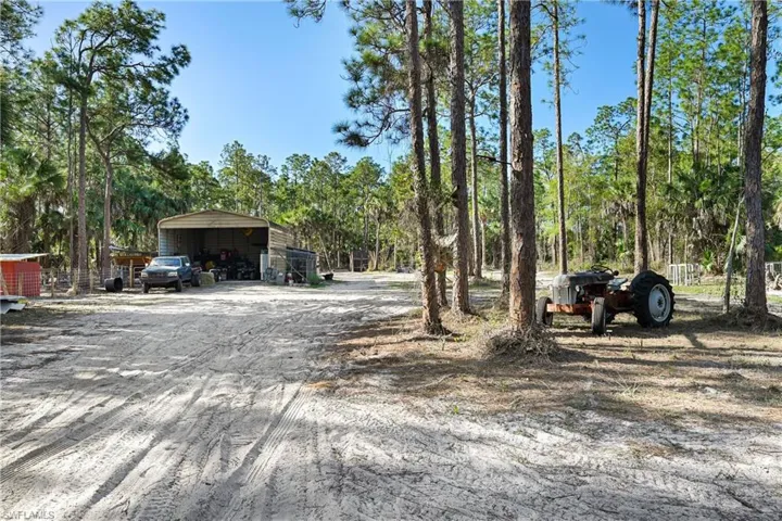 View of dirt / gravel driveway
