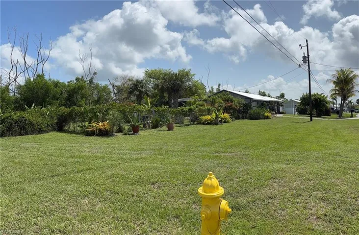 View of  yard