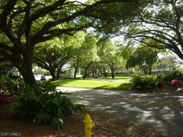 Live Oak Entrrance