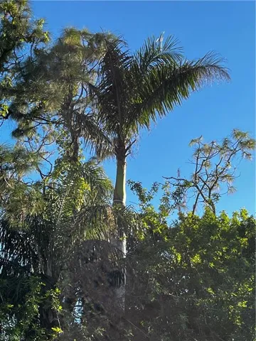View of nature