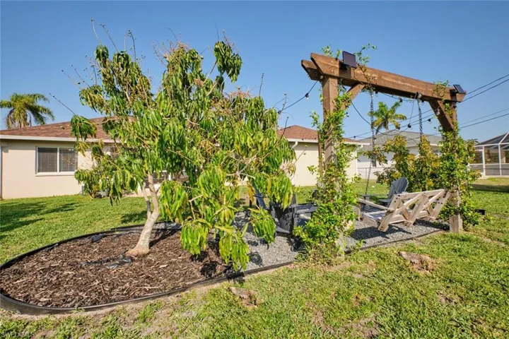 Swing on Trellis
