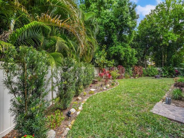 Lush Tropical Landscaped Yard