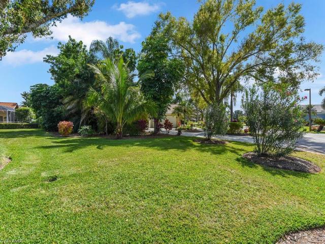 View of Trees on Front & Side of Property