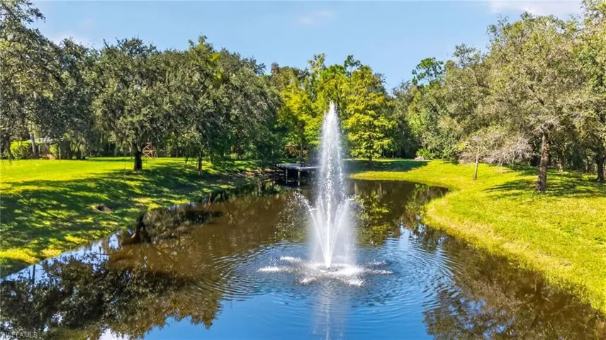 Pond with fountain