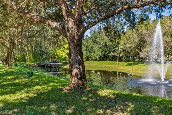 Pond with fountain
