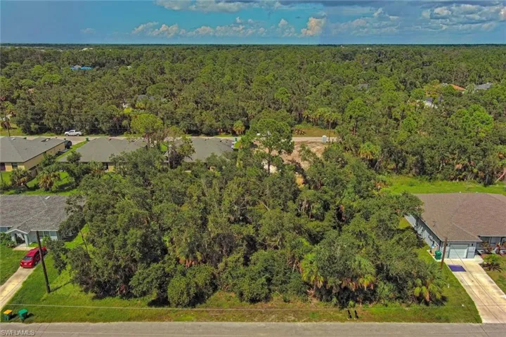 Drone / aerial view of a forest
