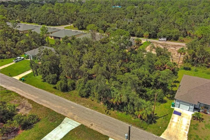 Drone / aerial view of a forest