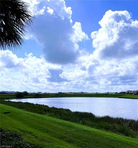 Southern Lake View