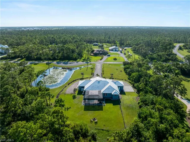 Bird's eye view of a forest and a large body of water