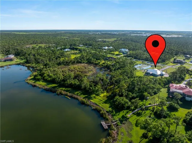 Aerial view of a forest and a nearby body of water