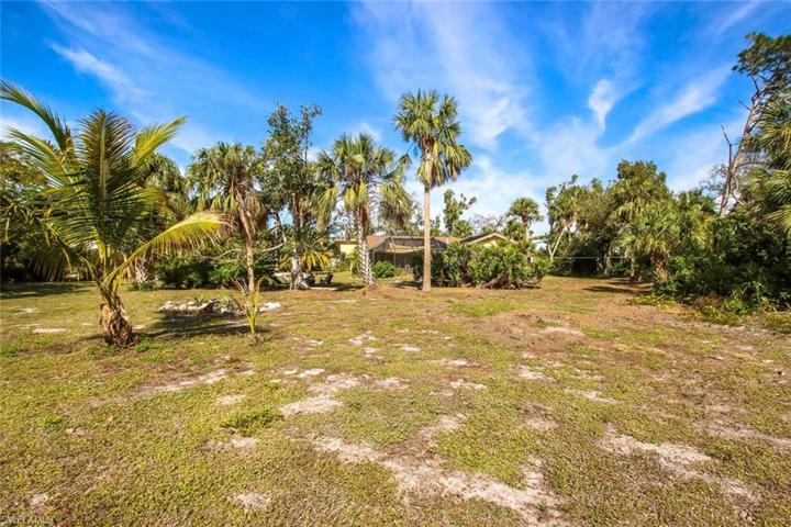 Large lot