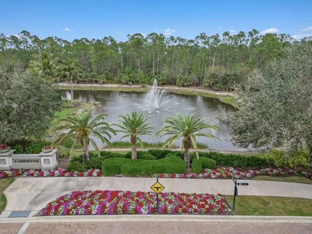 Lake & Fountain View from Front Yard