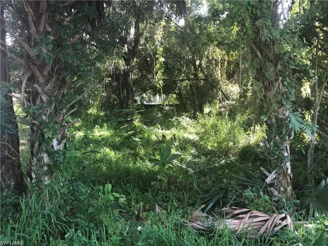 421  Santa Barbara  ST, North Fort Myers, FL 33903