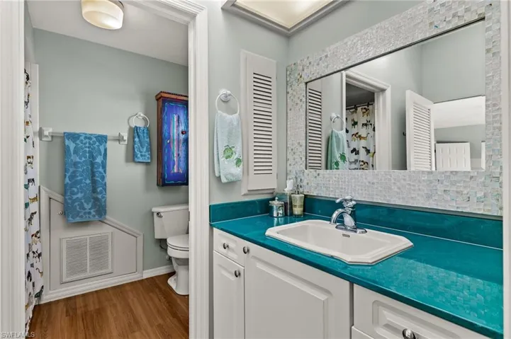 Bathroom featuring wood finished floors, curtained shower, vanity, and backsplash