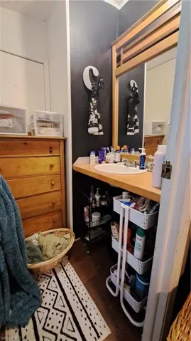 Bathroom featuring wood finished floors and vanity