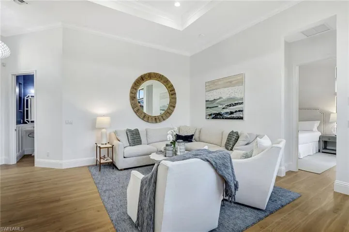 Living room featuring a tray ceiling and new lighting
