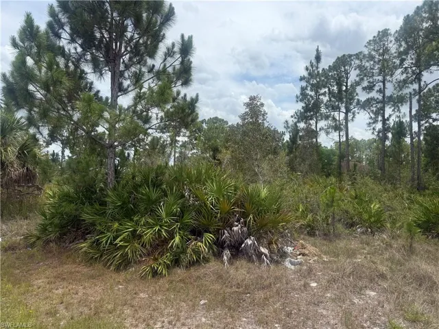 Tree-lined property featuring mature pines and palmetto vegetation