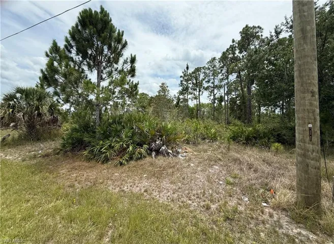 Wooded lot featuring mature pine trees and natural vegetation