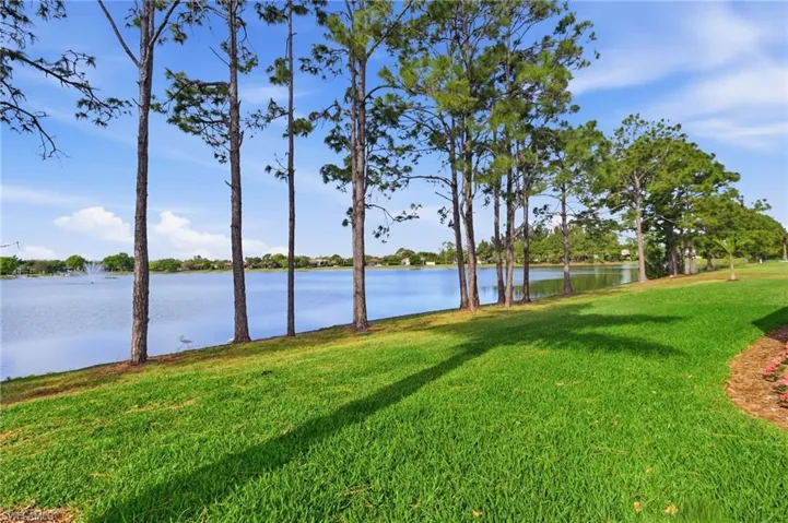 Water view