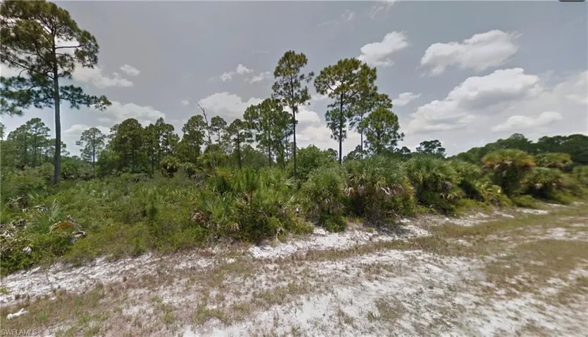 View of local wilderness