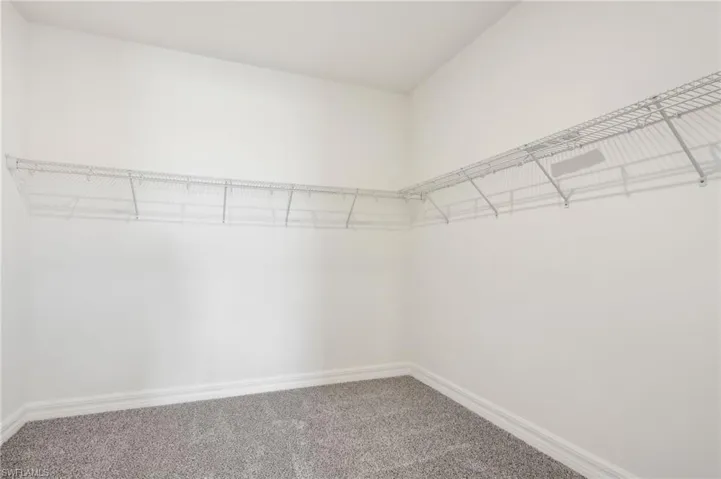 Walk in closet featuring carpet floors
