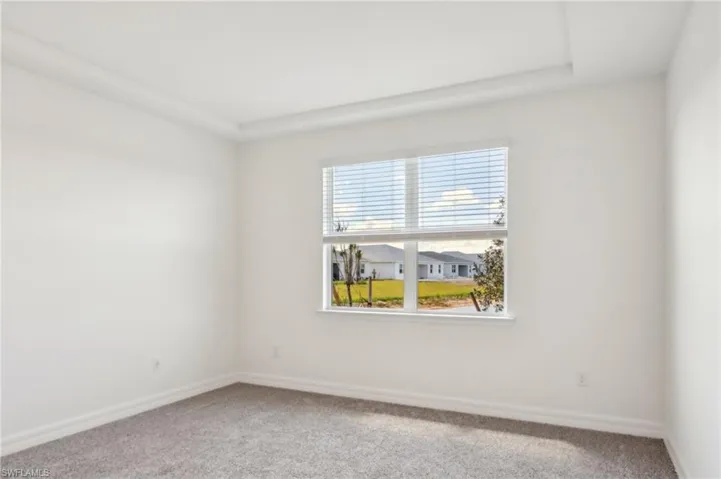 Unfurnished room featuring a wealth of natural light, carpet, and baseboards