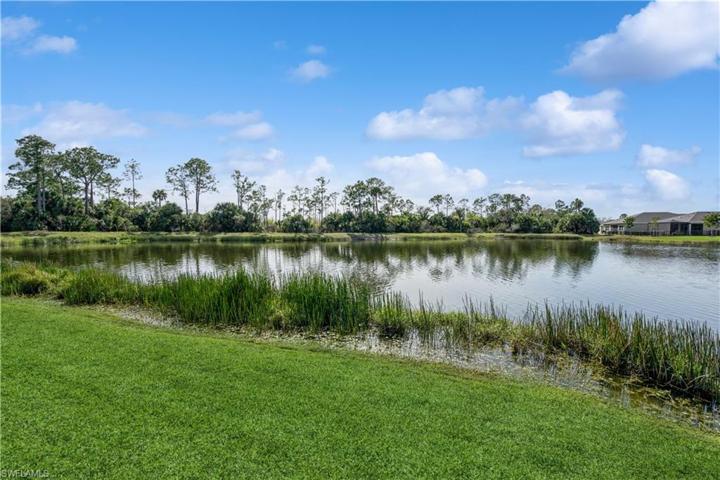 View of lake from backyard