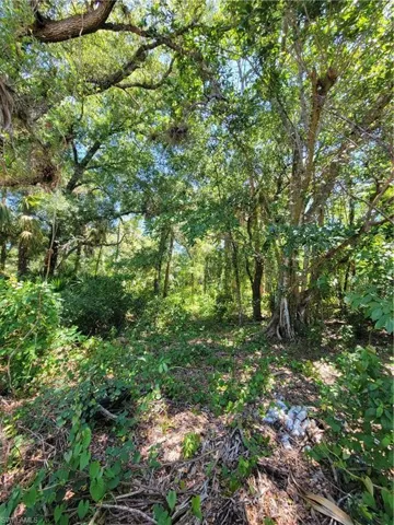 1006 Wells Ave, Lehigh Acres Fl 33972