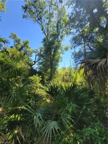 1006 Wells Ave, Lehigh Acres Fl 33972