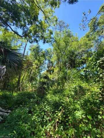 1006 Wells Ave, Lehigh Acres Fl 33972