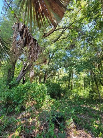 1006 Wells Ave, Lehigh Acres Fl 33972