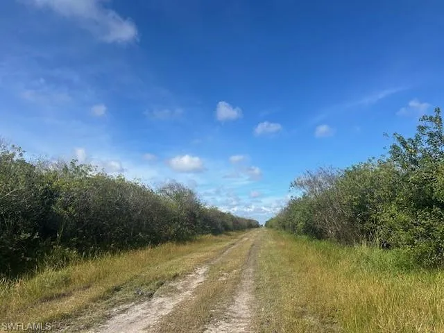 View of dirt / gravel road featuring a forest view