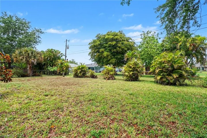 Side Yard - Oversized