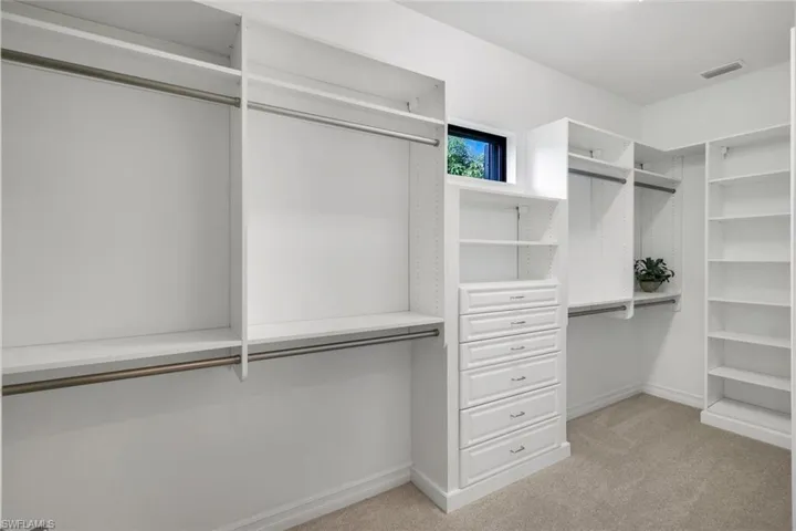 Spacious closet featuring light carpet