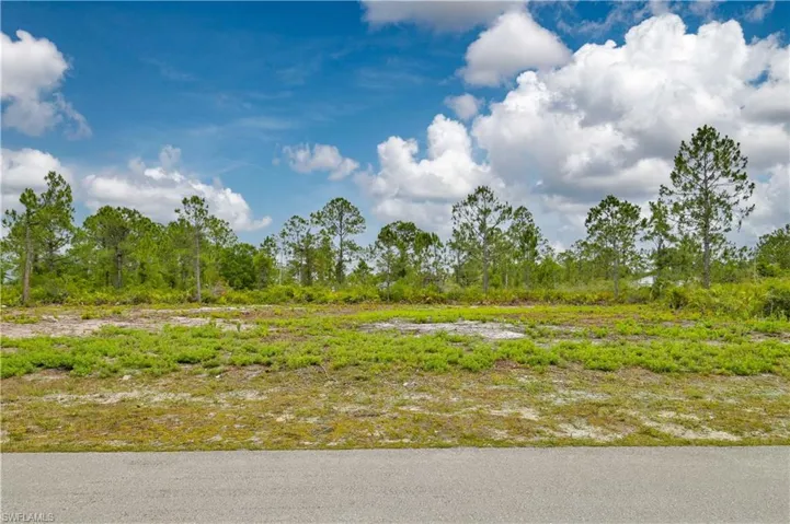 View of local wilderness