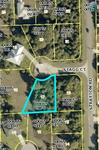 Plat Map. Illustrating the boundaries and identifying numbers for the property