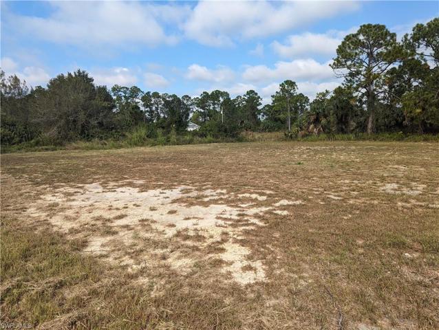 2909 Dora AVE N, LEHIGH ACRES FL 33971