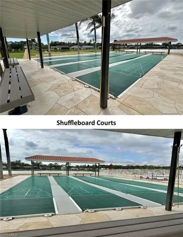 Shuffleboard Collage