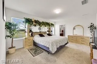 Carpeted bedroom with ensuite bathroom