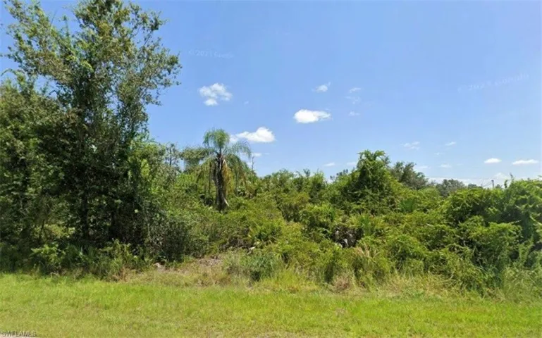 View of nature