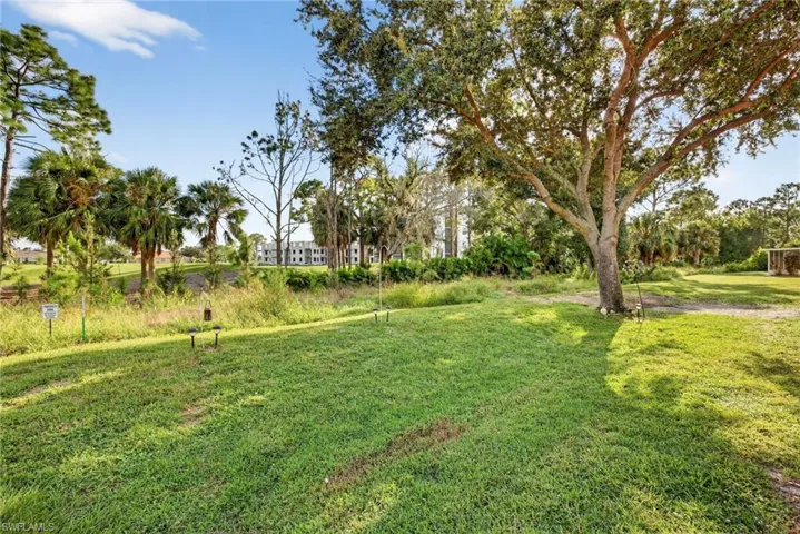 View of grassy yard