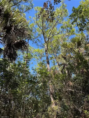 , Naples, FL 34120
