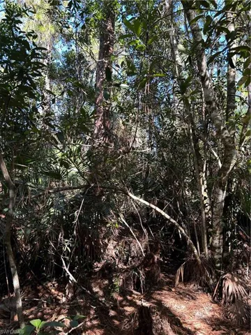 , Naples, FL 34120