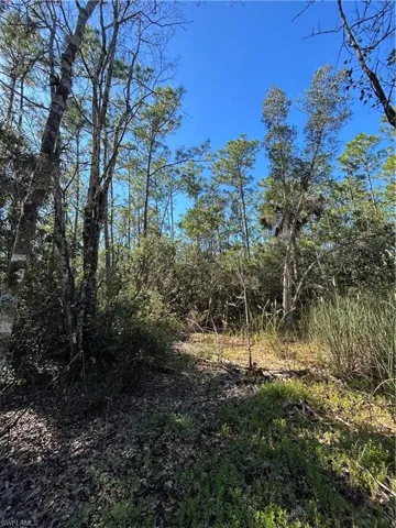 , Naples, FL 34120