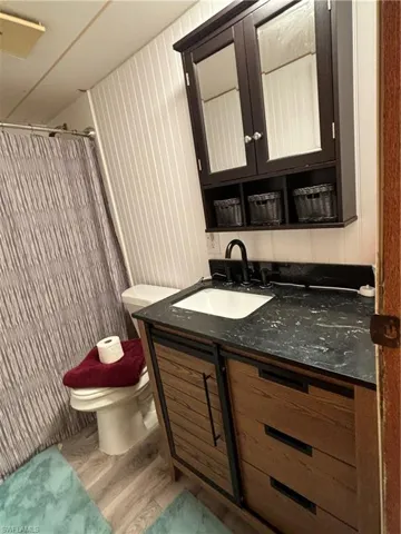 Bathroom featuring a shower with curtain, vanity, toilet, and wood-type flooring