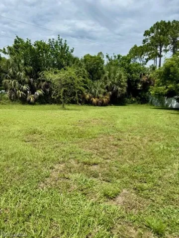 View of green lawn