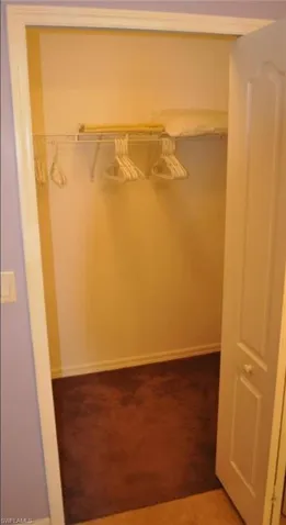 Interior closet featuring wire shelving, hanging rod, and brown carpeting