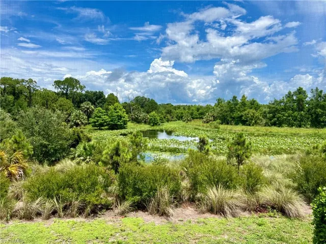 Gorgeous preserve view