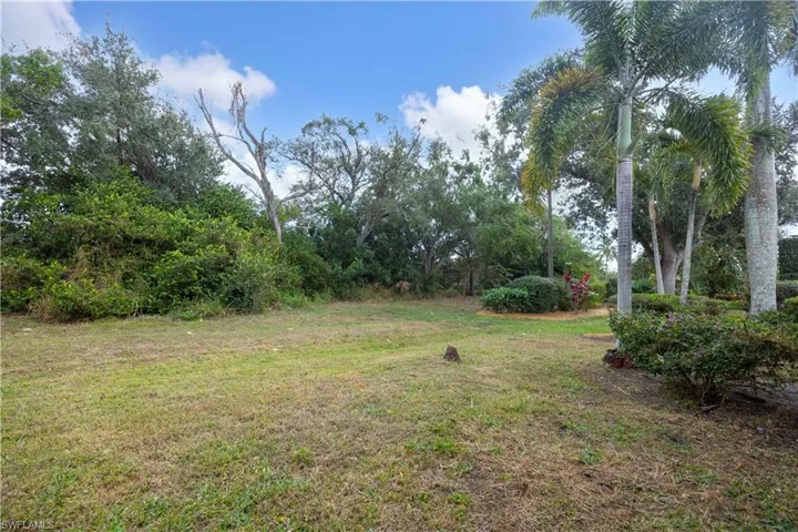 View of green lawn
