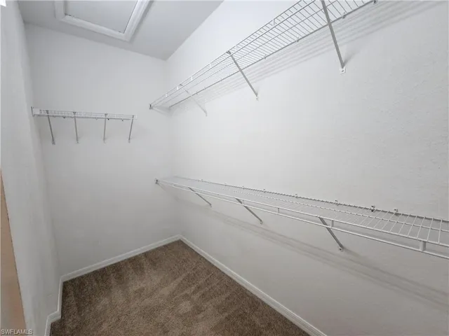 Walk in closet featuring carpet flooring